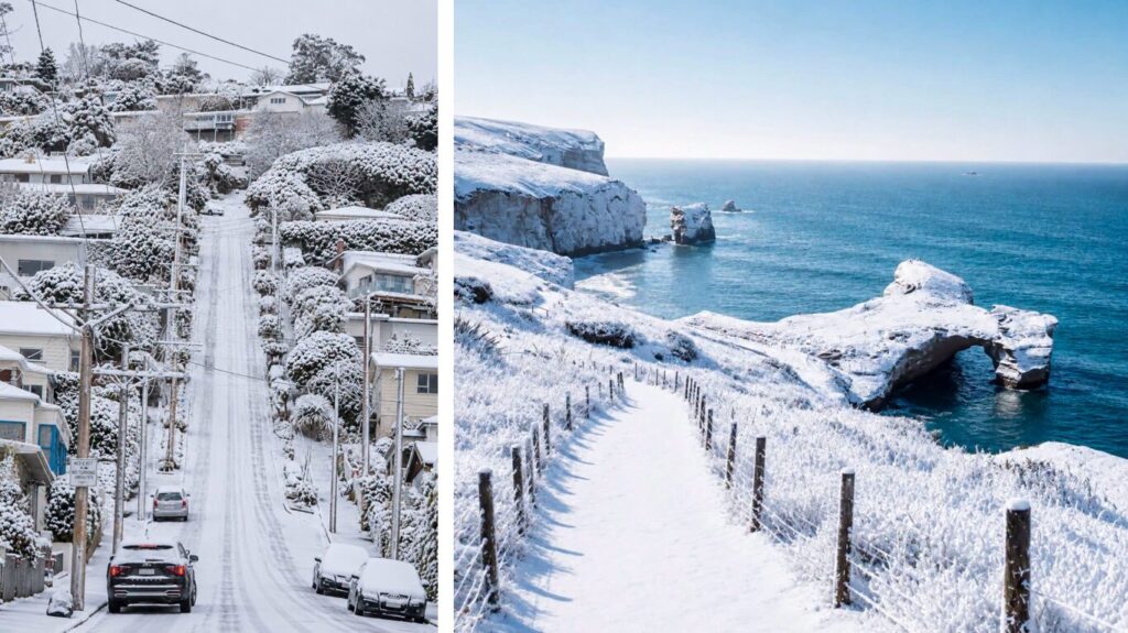 neve nuova zelanda