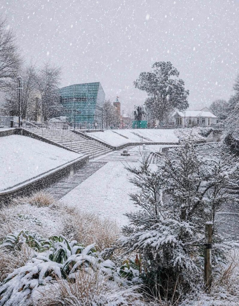 neve nuova zelanda