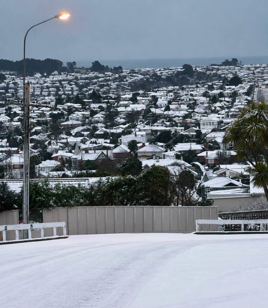 neve nuova zelanda