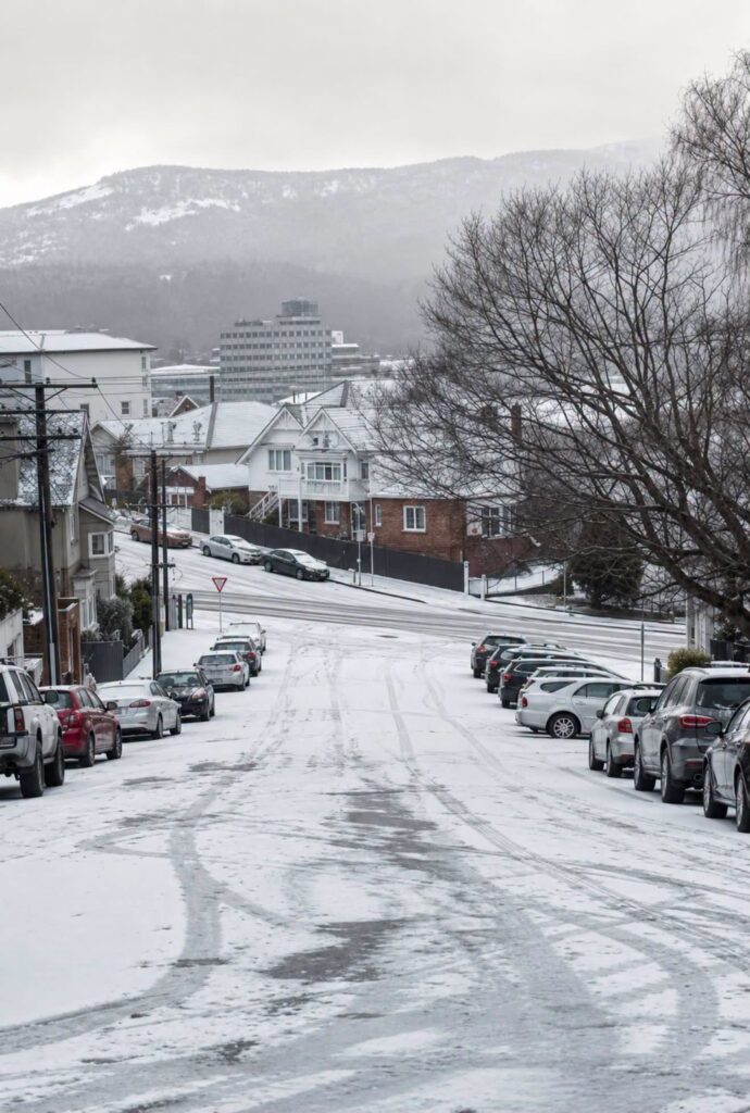 neve nuova zelanda