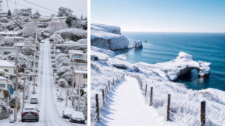 neve nuova zelanda