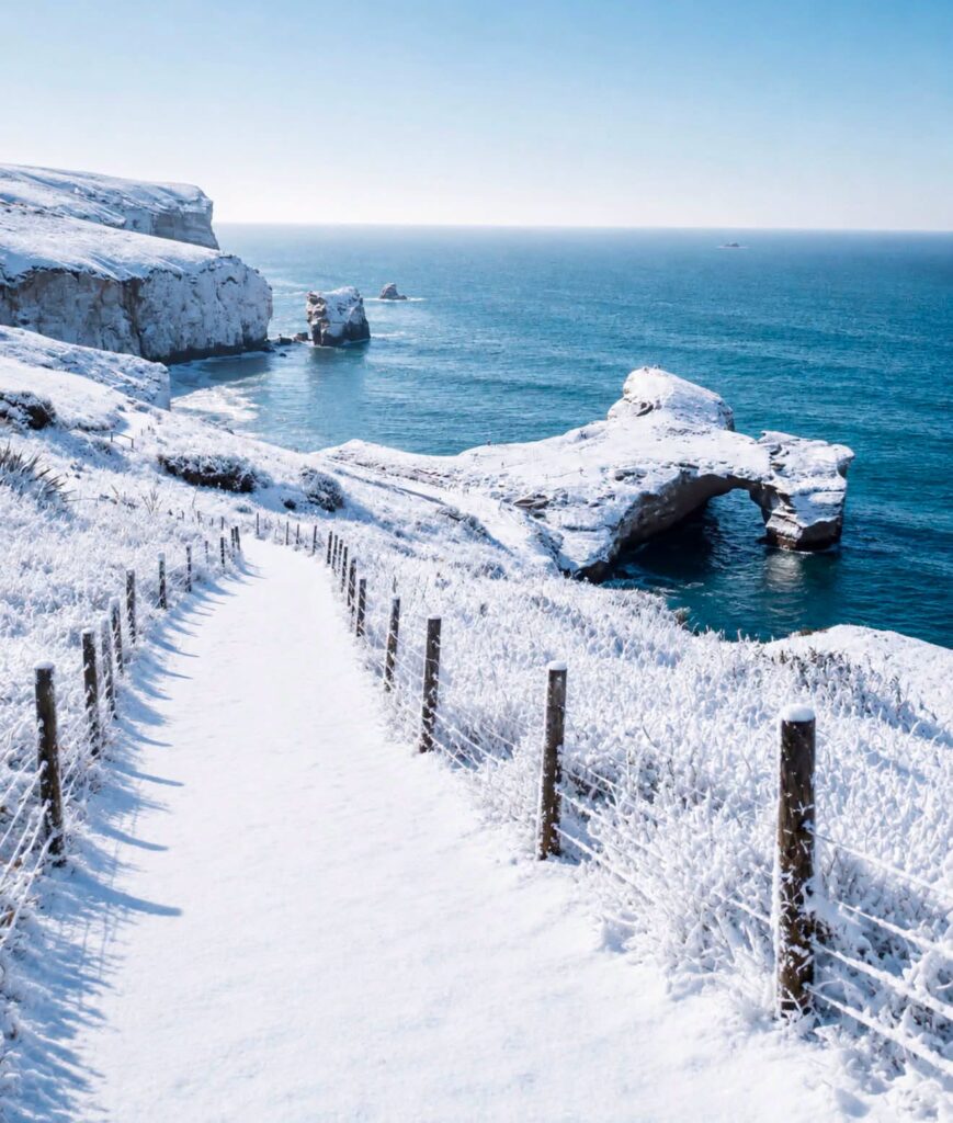 neve nuova zelanda
