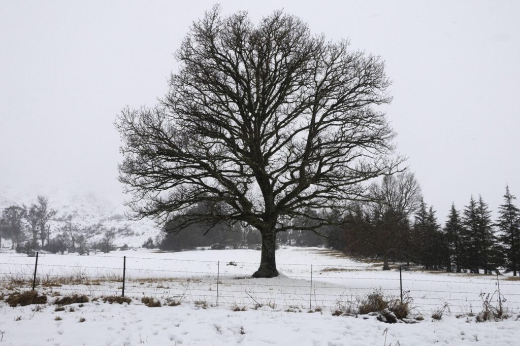 neve freddo sudafrica