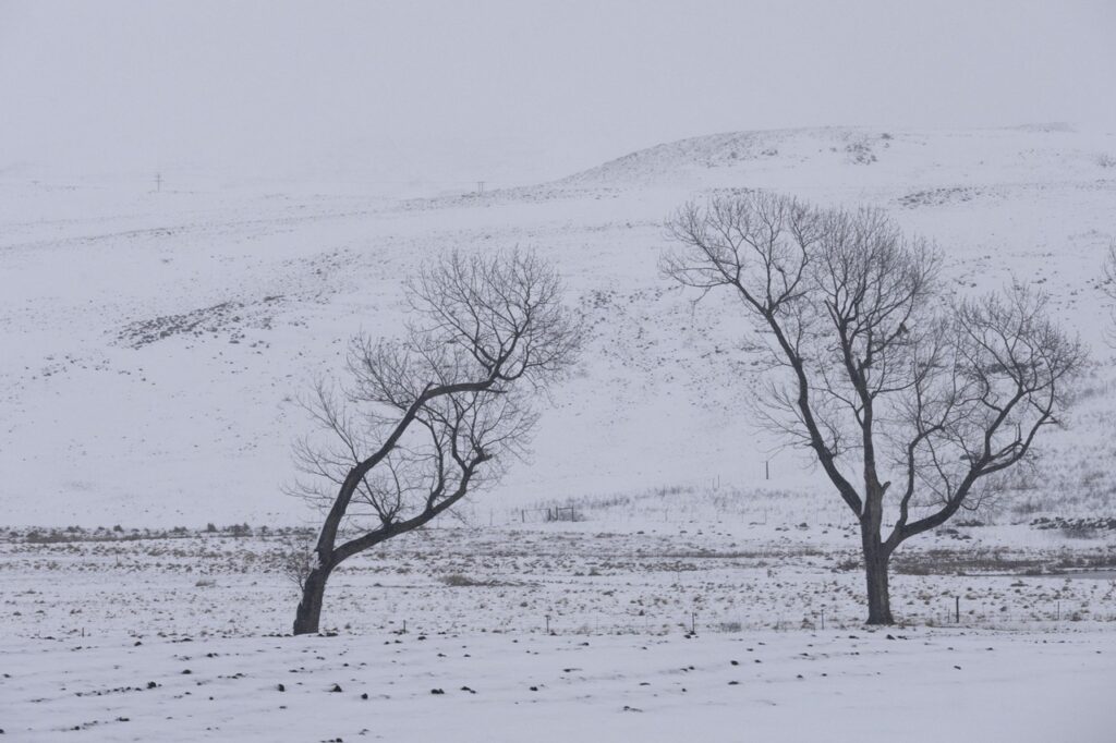 neve freddo sudafrica