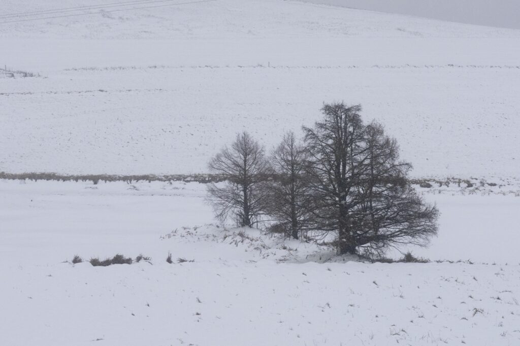 neve freddo sudafrica