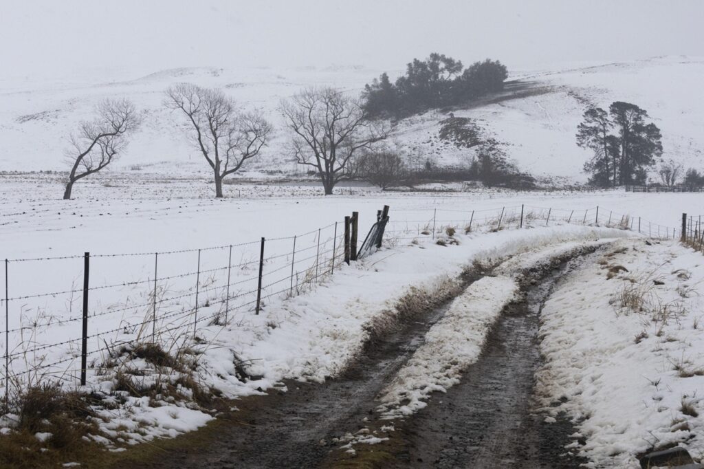 neve freddo sudafrica