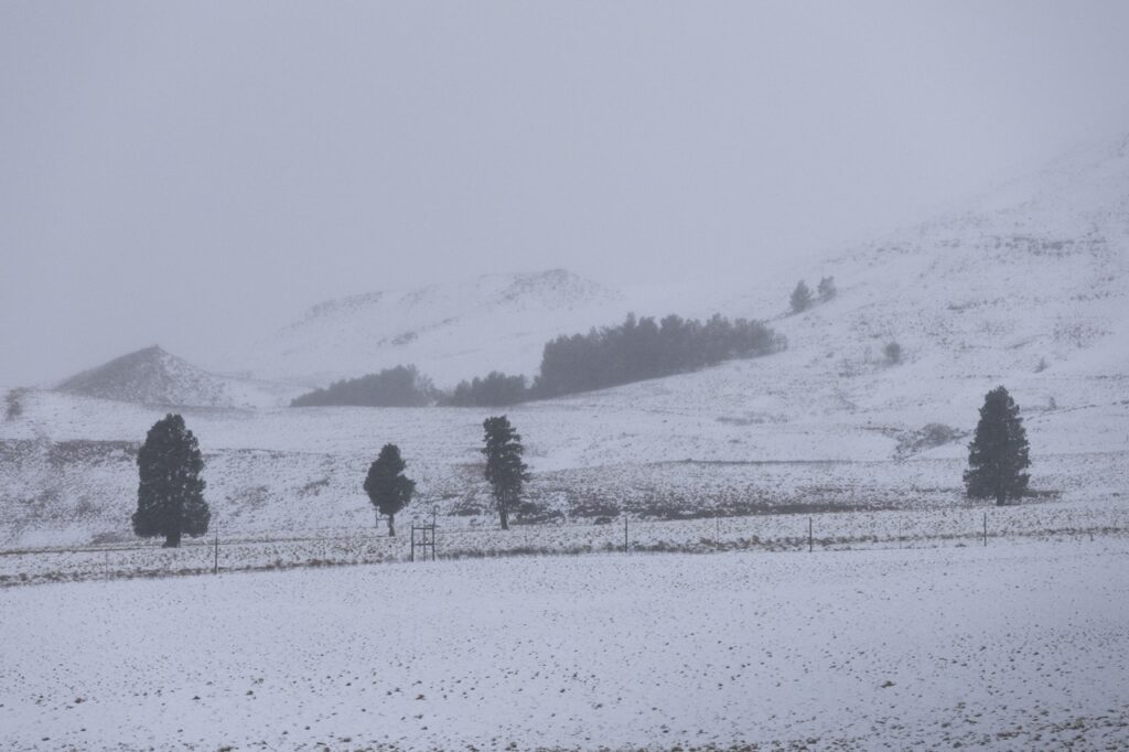neve freddo sudafrica