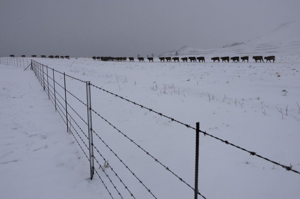 neve freddo sudafrica