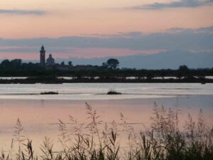 paesaggi sommersi adriatico