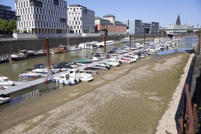 reno germania