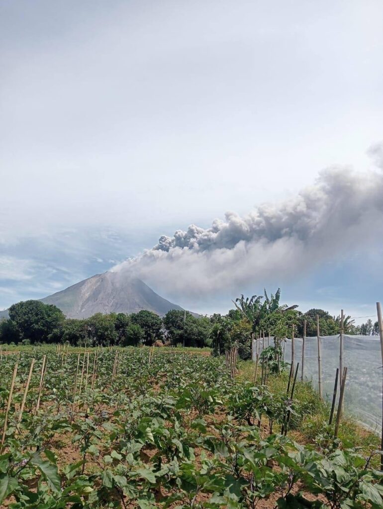 sinabung indonesia