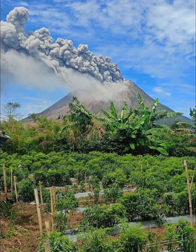sinabung indonesia