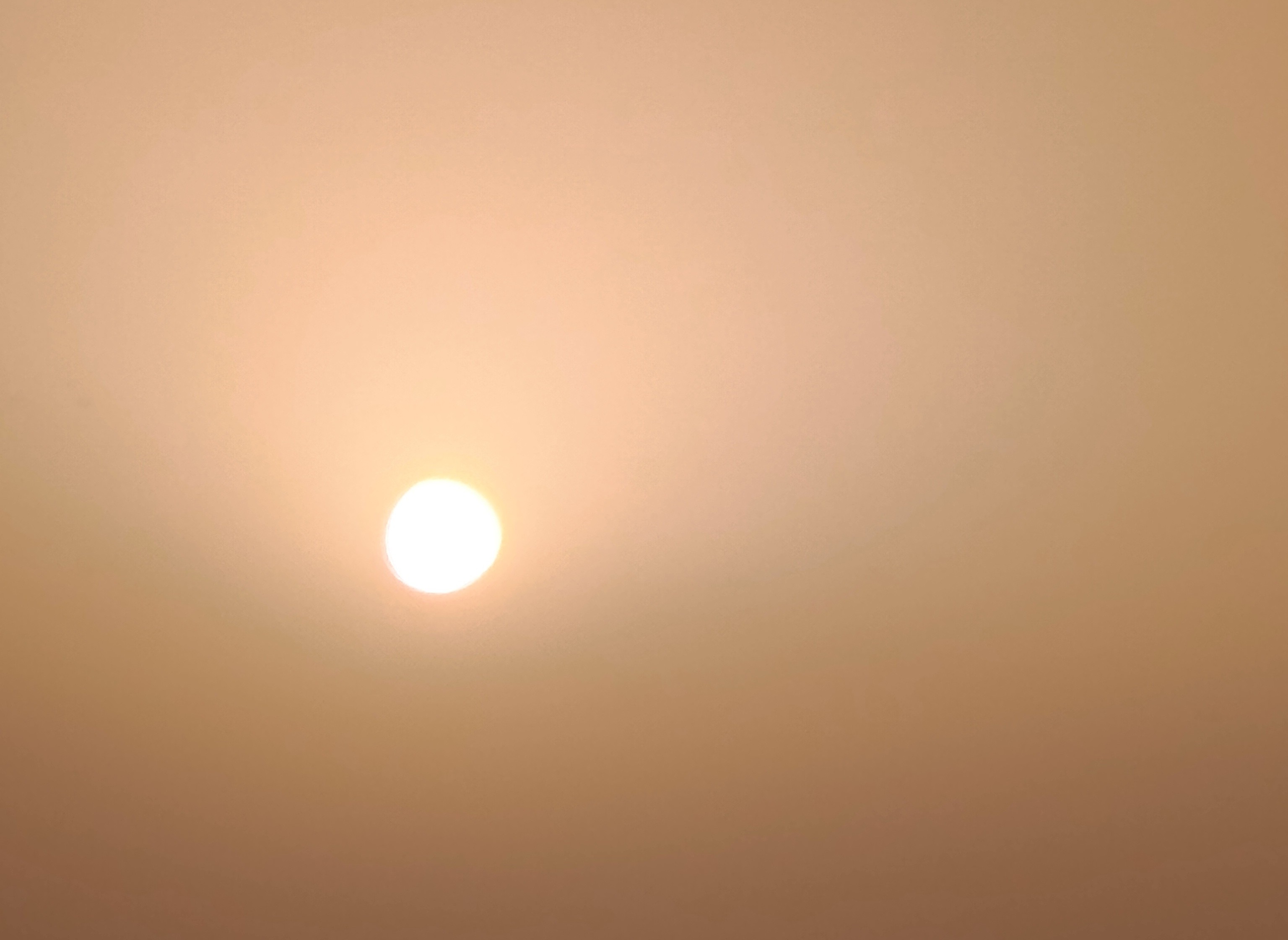 sole oggi sabbia sahara