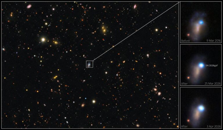 supernova SN 2026gzf
