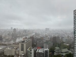 tempesta Chan-hom tokyo