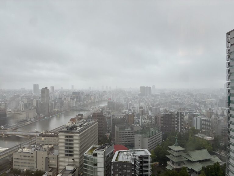 tempesta Chan-hom tokyo
