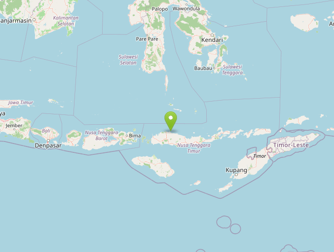 terremoti indonesia flores