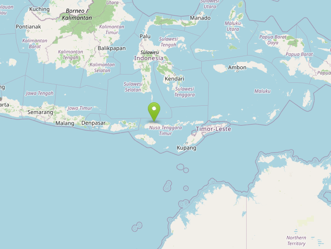terremoti indonesia flores