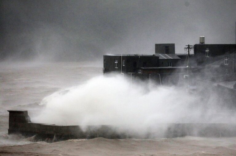 tifone dolphin cina