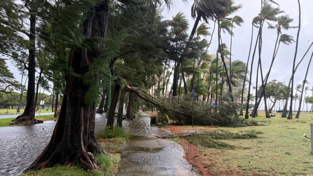 uragano lala hawaii