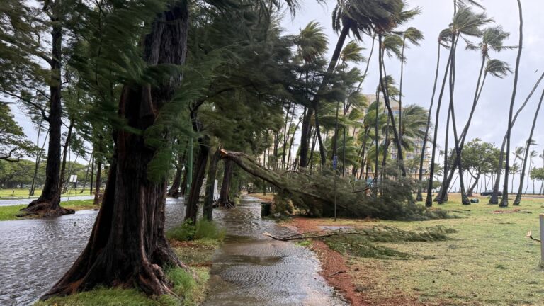 uragano lala hawaii