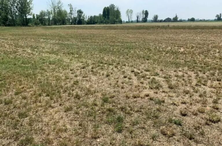 Caldo Agricoltura