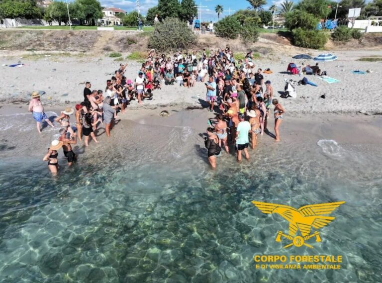 Caretta caretta Sardegna