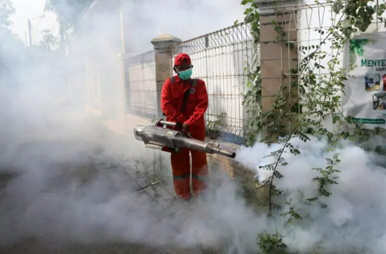 Dengue