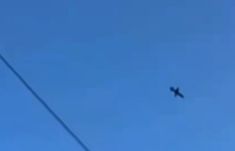 Drone Guerra Ucraina