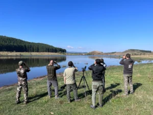 Eurobirdwatch