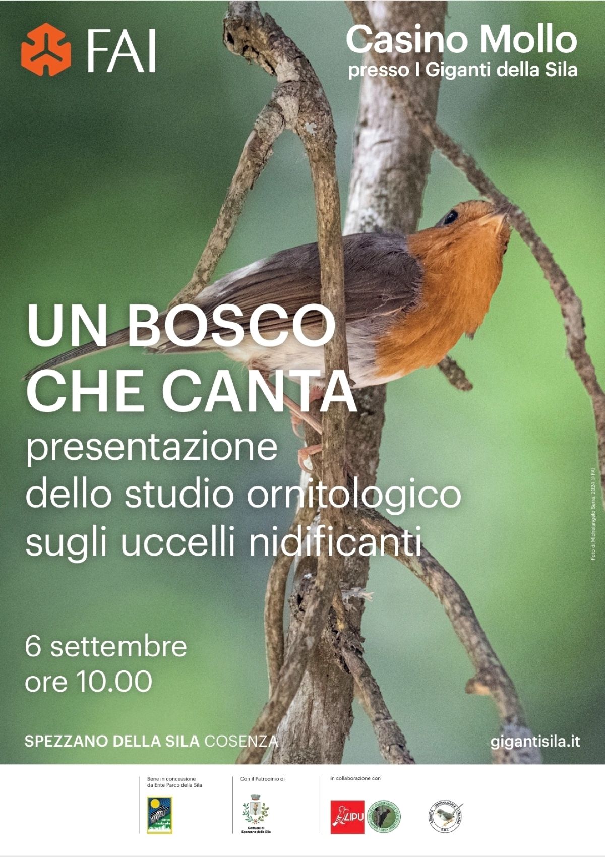 Evento Un bosco che canta