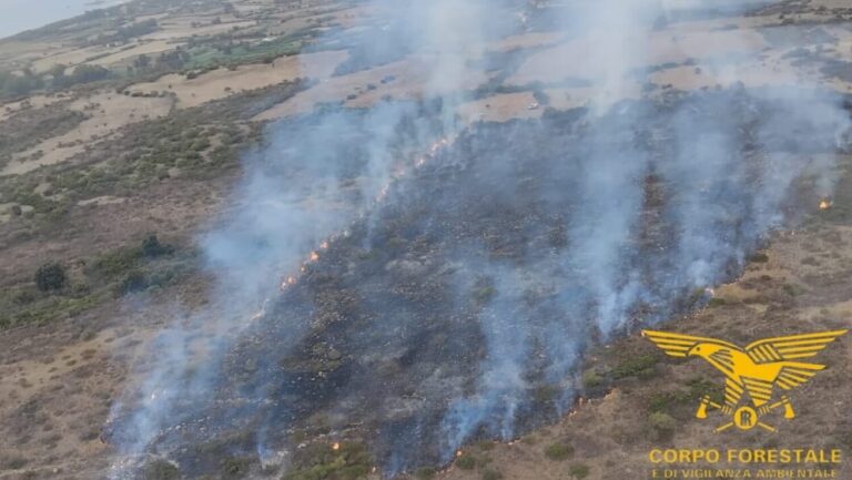 Incendi Sardegna