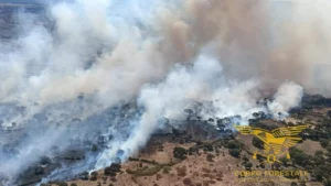 Incendi Sardegna