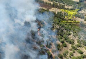 Incendi Sardegna