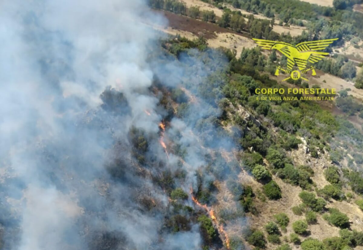 Incendi Sardegna, tre fronti di fuoco: il Corpo Forestale impegnato tra Sud Sardegna e Gallura