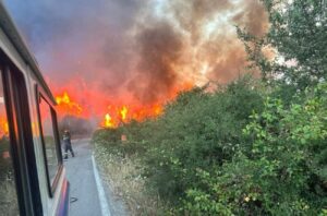 Incendi Sicilia