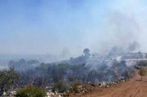 Incendio Gargano