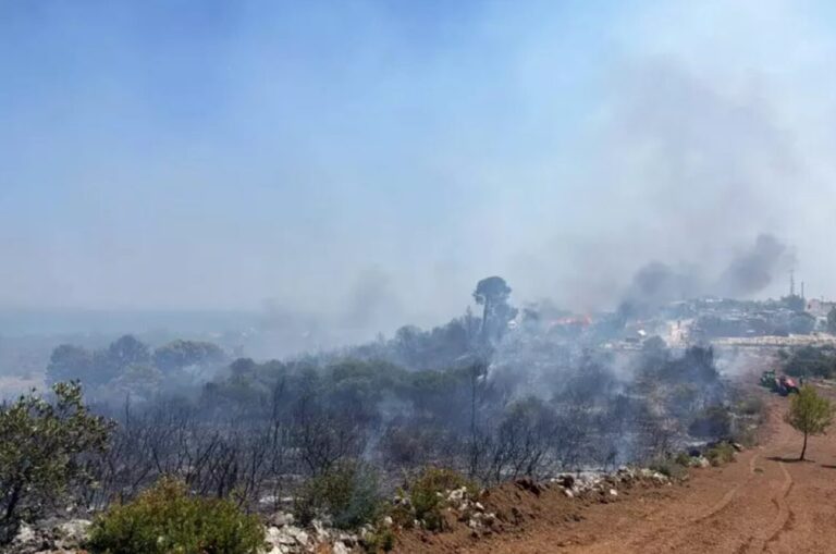 Incendio Gargano