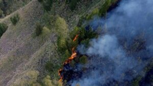 Incendio Indonesia