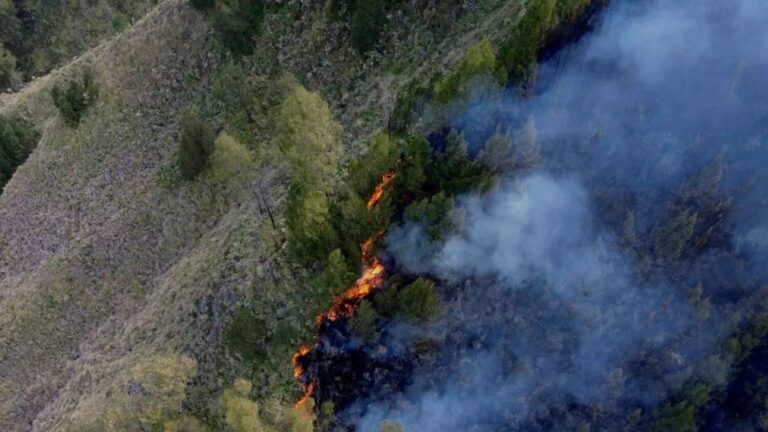 Incendio Indonesia