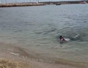 Italia Grecia nuoto