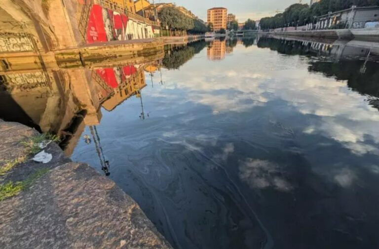 Naviglio