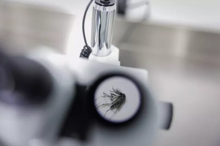 Virus