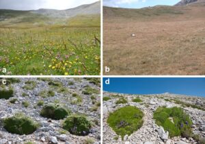appennino ecosistema