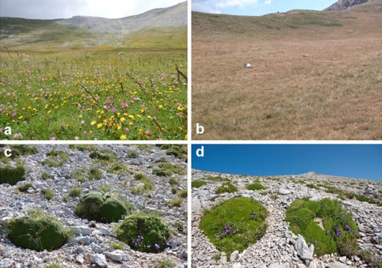 appennino ecosistema