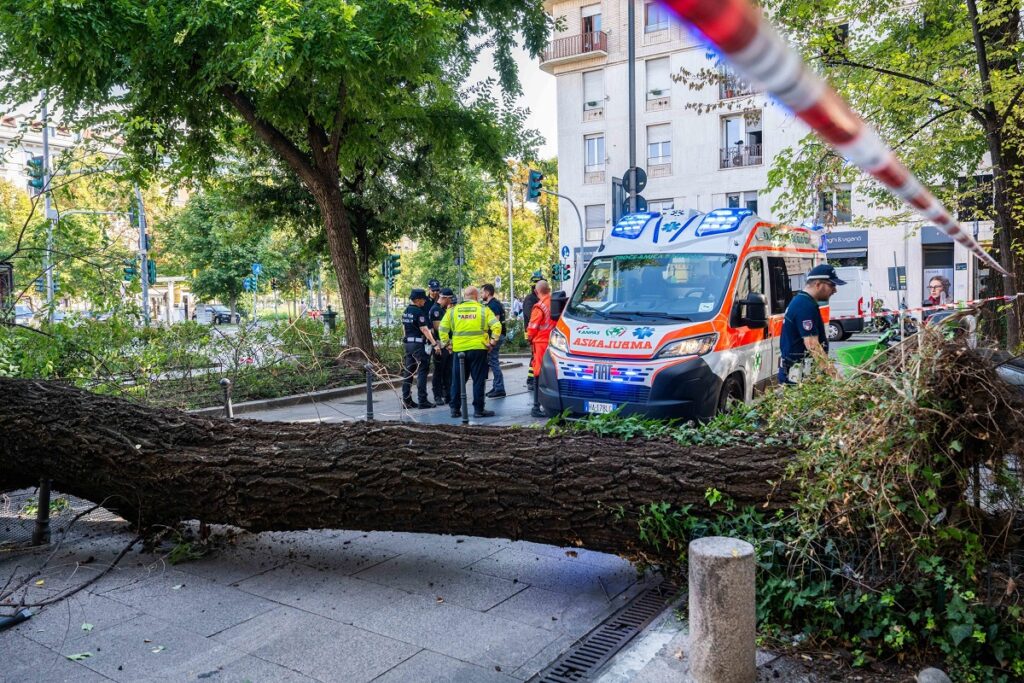 crollo ramo milano