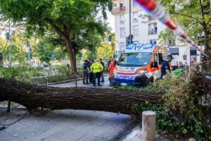 crollo ramo milano