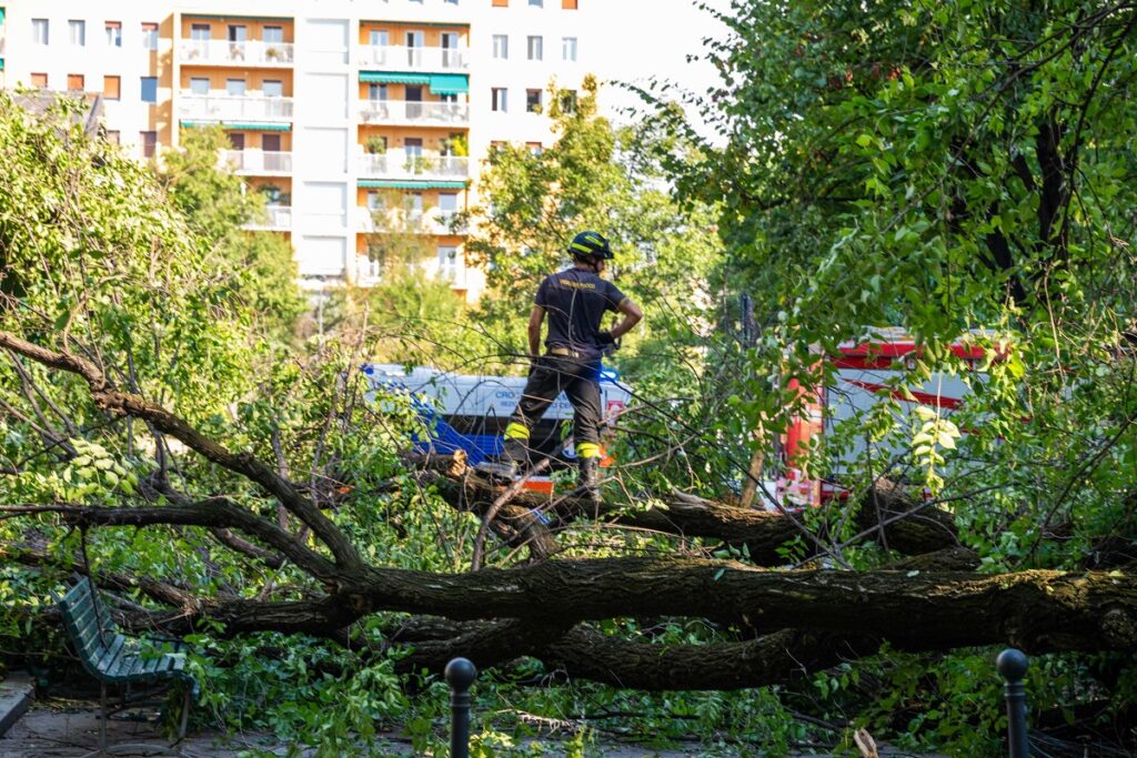 crollo ramo milano