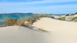 da ENEA e Costa Crociere Foundation protocollo di monitoraggio per proteggere spiagge e dune