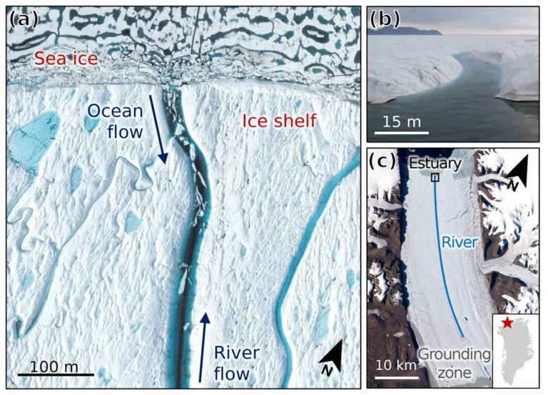 estuario piattaforma glaciale petermann